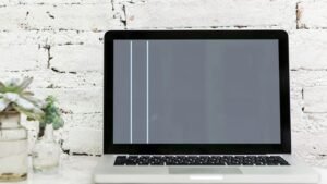 Screen Flickering or Black Screen laptop