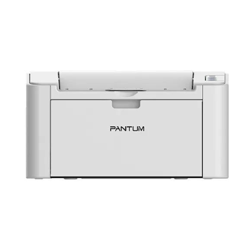 Pantum P2200 Laser Printer